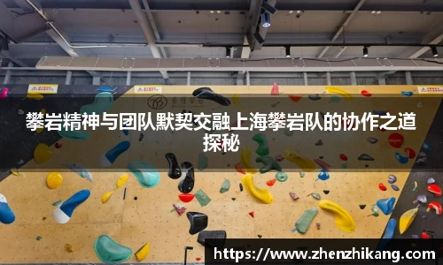 攀岩精神与团队默契交融上海攀岩队的协作之道探秘