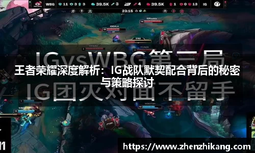 王者荣耀深度解析：IG战队默契配合背后的秘密与策略探讨