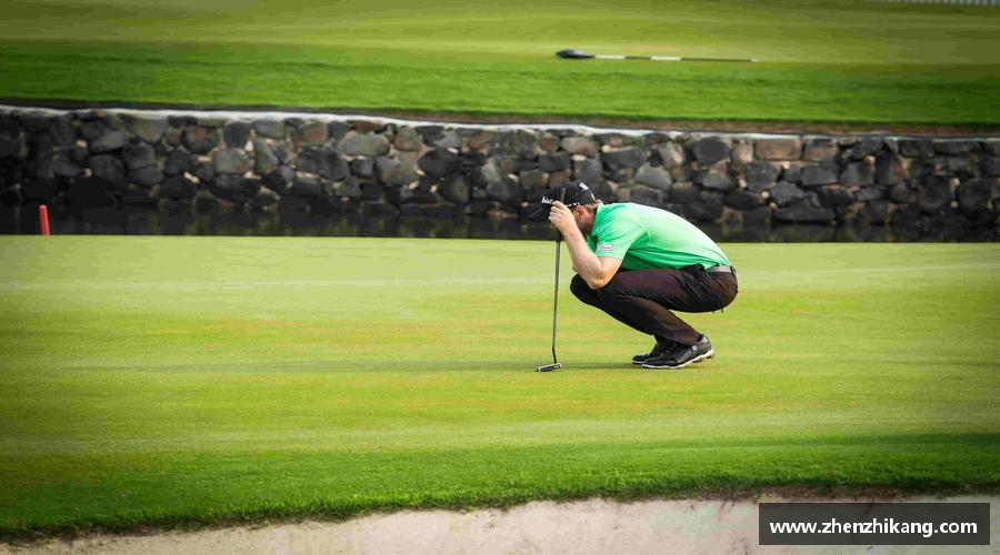 杏运官方网站挑战自我，成就非凡